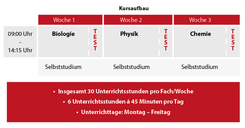 Intensivkurs Vorsemester Medizin